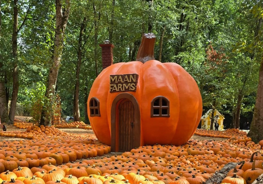 Fall at the Farm