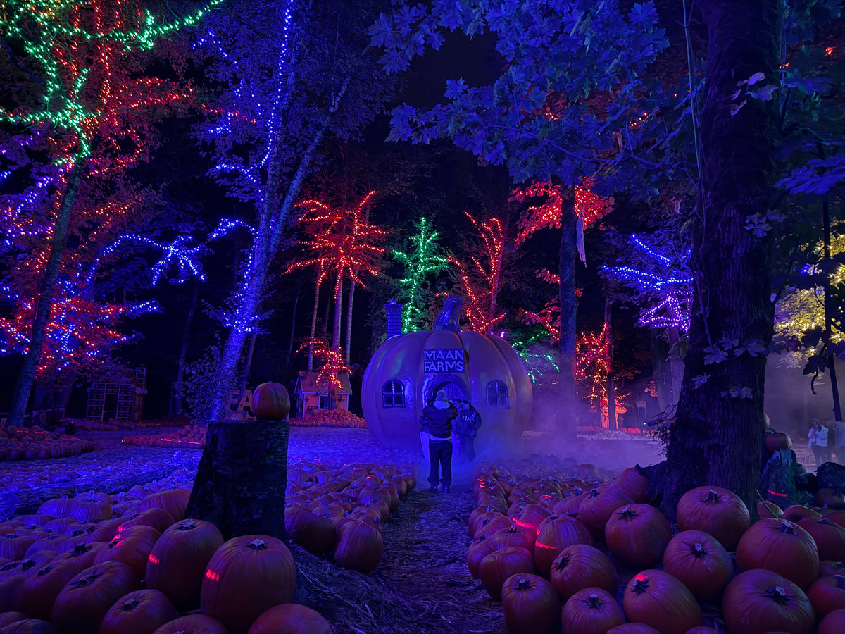 Frightfully Fun Forest Pumpkin Patch